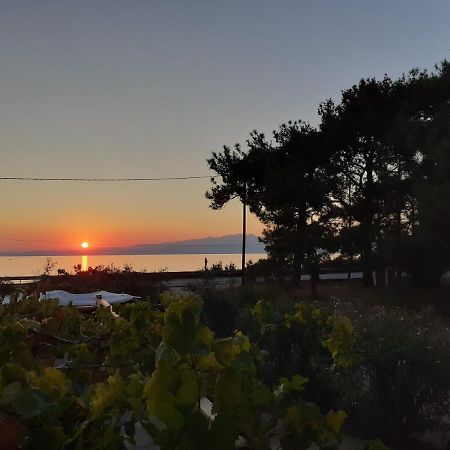 Το Σπίτι με το Πηγάδι - WellCottage Thassos Σκάλα Καλλιράχης Εξωτερικό φωτογραφία