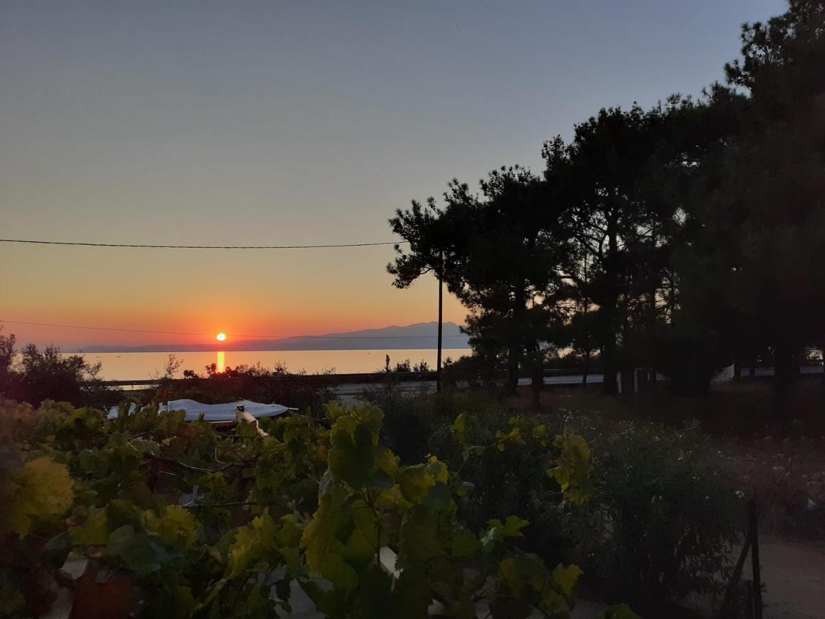 Το Σπίτι με το Πηγάδι - WellCottage Thassos Σκάλα Καλλιράχης Εξωτερικό φωτογραφία