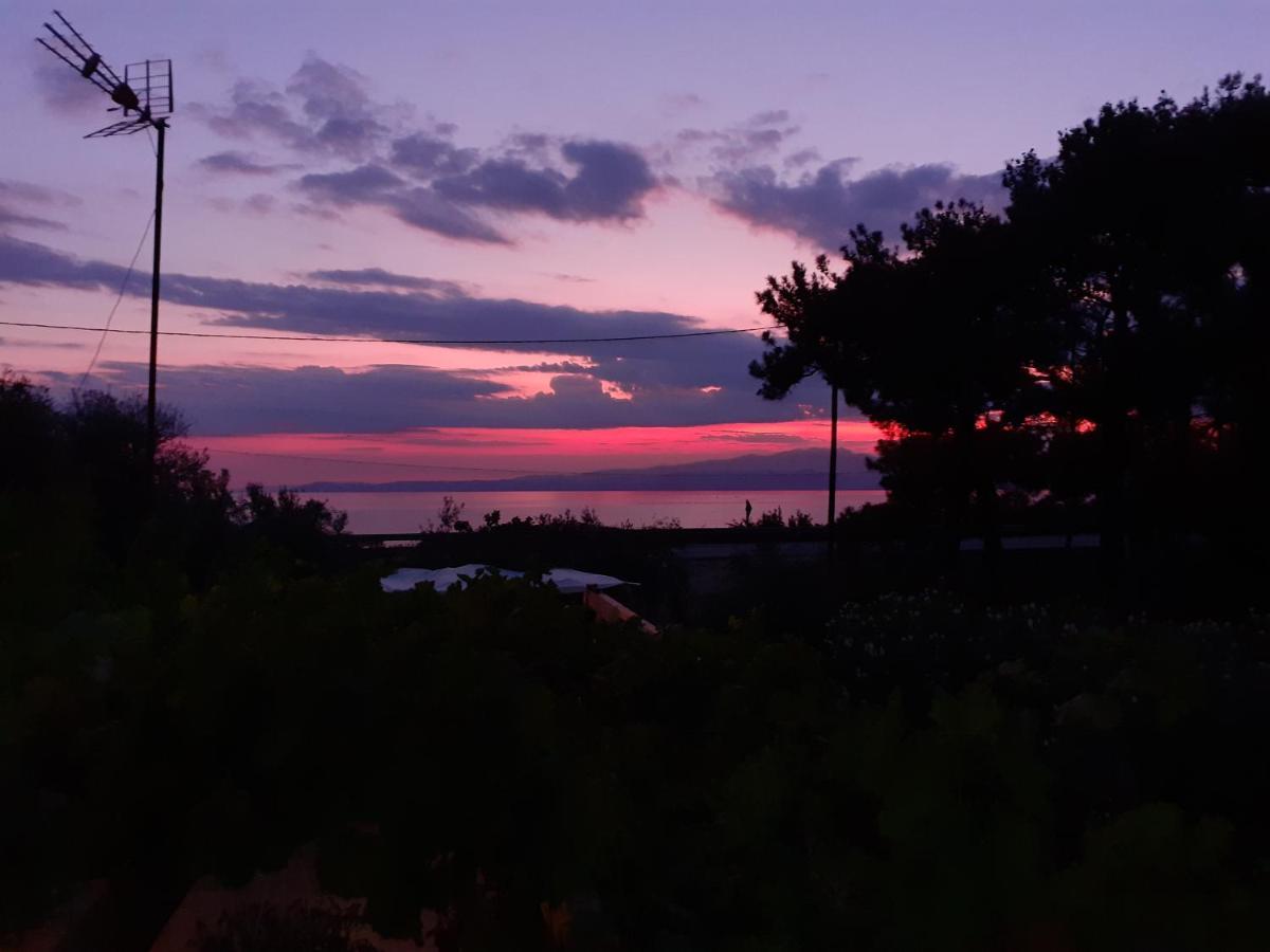 Το Σπίτι με το Πηγάδι - WellCottage Thassos Σκάλα Καλλιράχης Εξωτερικό φωτογραφία