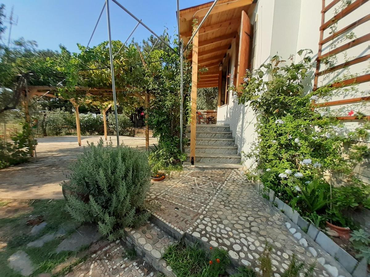 Το Σπίτι με το Πηγάδι - WellCottage Thassos Σκάλα Καλλιράχης Εξωτερικό φωτογραφία