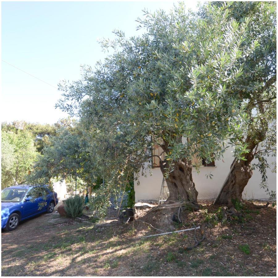 Το Σπίτι με το Πηγάδι - WellCottage Thassos Σκάλα Καλλιράχης Εξωτερικό φωτογραφία