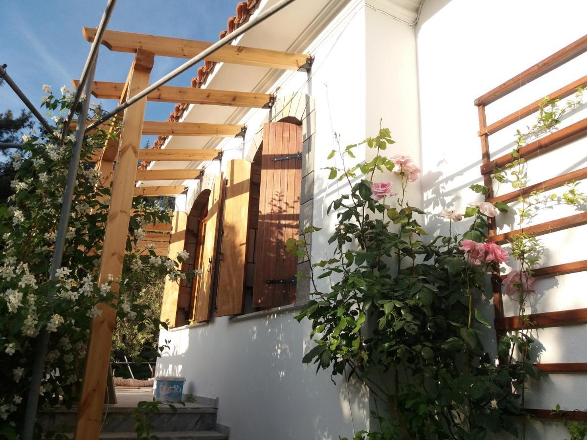 Το Σπίτι με το Πηγάδι - WellCottage Thassos Σκάλα Καλλιράχης Εξωτερικό φωτογραφία