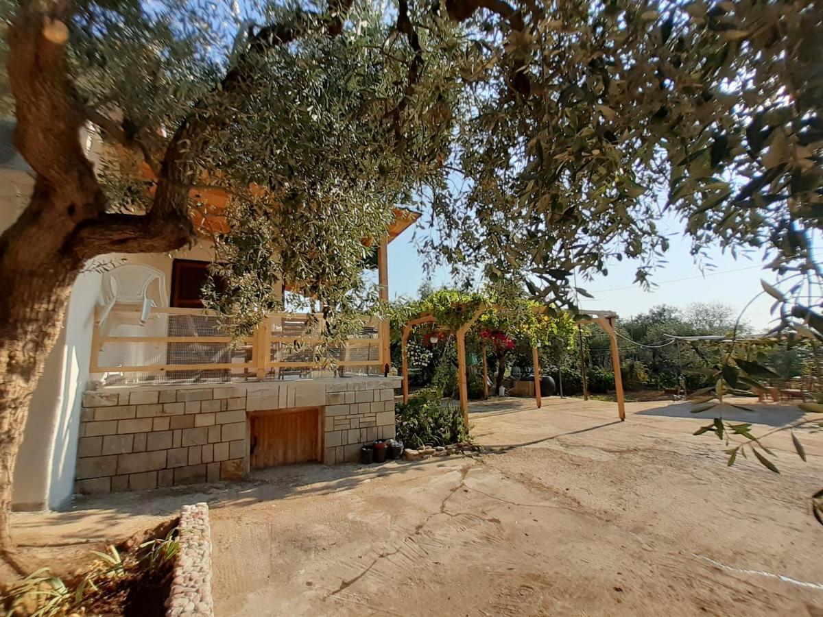 Το Σπίτι με το Πηγάδι - WellCottage Thassos Σκάλα Καλλιράχης Εξωτερικό φωτογραφία